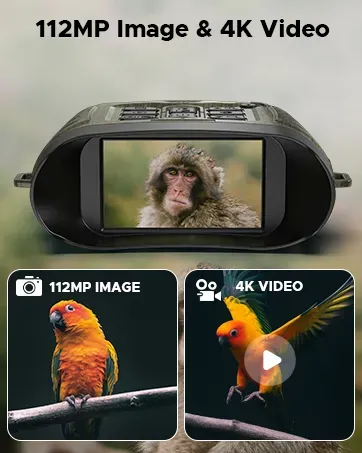 Night Vision Binoculars And Goggles - Complete UK Guide
